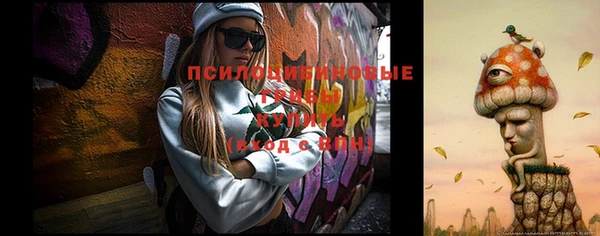 СК Богданович
