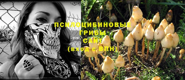 шишки Белоозёрский