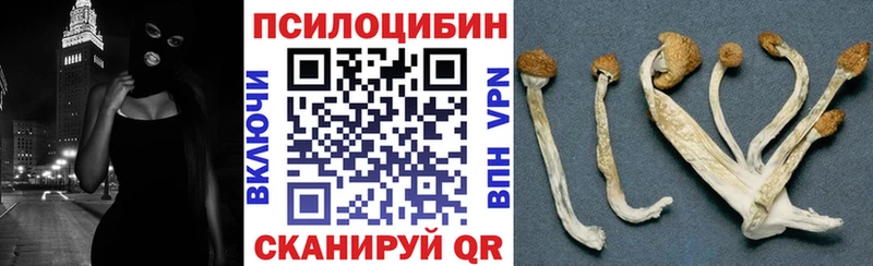 Псилоцибиновые грибы Magic Shrooms магазин продажи сайты даркнета формула Старица